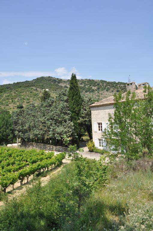 Domaine Le Bourdet Villa Saint-Sauveur-de-Cruzière Esterno foto